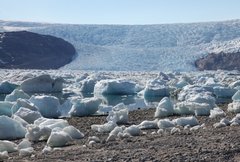 Glacier of Johan Petersen Fjord
