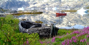 South Greenland: Ice & flowers